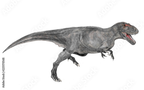トルボサウルス・タネリ。ジュラ紀後期の北米に生息した恐竜。大型獣脚類。ずんぐりした体形は分厚い脂肪に包まれていて、専ら他の肉食恐竜が仕留めた獲物を横取りしていたのではないか。多少の反撃を受けても素知らぬ顔で横取りした獲物にかぶりつく。太く強靭な歯は横取りした獲物を骨ごと咬み砕く力があった。全長は10メートル程度で、この時期の獣脚類としては大型。2018年のイラスト画像。 © Mineo