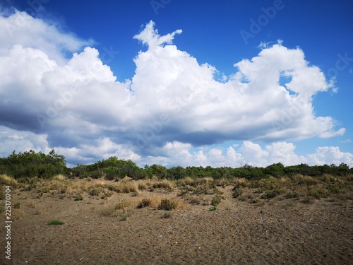  fluffy clouds on the beach