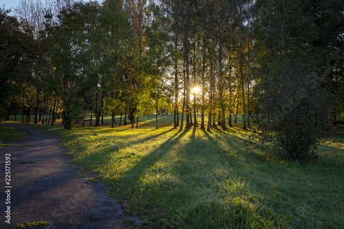 Fototapeta Naklejka Na Ścianę i Meble -  First frosts on green grass in the early morning