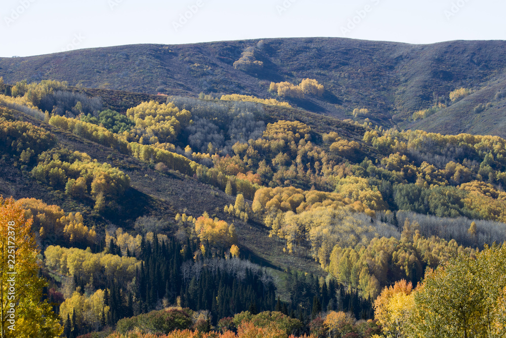 Fototapeta premium Autumn. Natural landscape. Bright colors of the autumn forest on the rocky slopes of the mountains. The Altai Mountains. Eastern Kazakhstan.