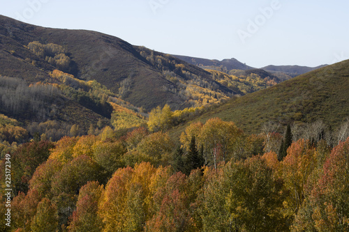 Autumn. Natural landscape. Bright colors of the autumn forest on the rocky slopes of the mountains. The Altai Mountains. Eastern Kazakhstan.