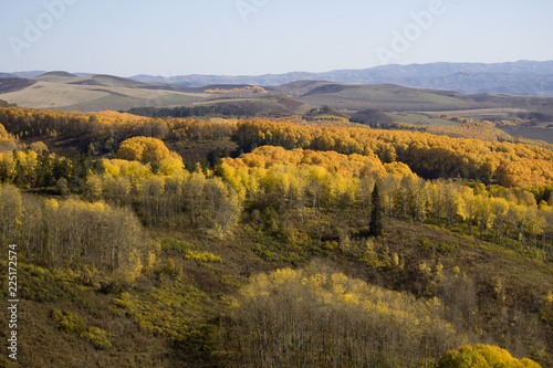 Autumn. Natural landscape. Bright colors of the autumn forest on the rocky slopes of the mountains. The Altai Mountains. Eastern Kazakhstan.