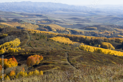Tableau sur toile Autumn