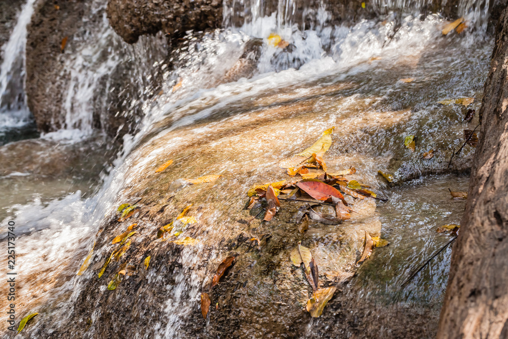 Small waterfall with dead leaves Small waterfall with dead leaves