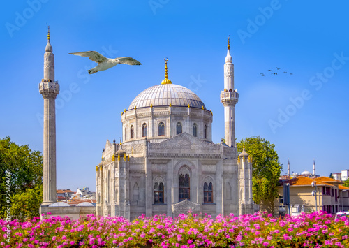 Pink flowers with Pertevniyal Valide Sultan Mosque, an Ottoman imperial mosque in Istanbul, Turkey. Summer sunny day with blue cloudy sky. photo