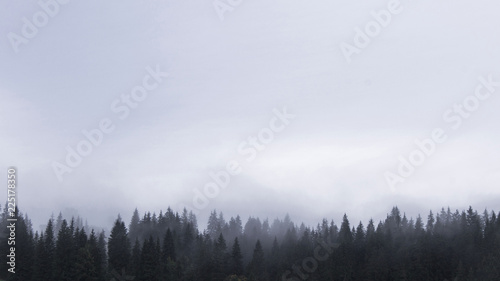 misty morning landscape with fog