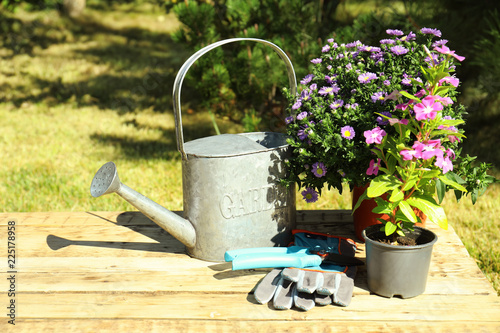 Potted flowers and gardening tools on table outdoors