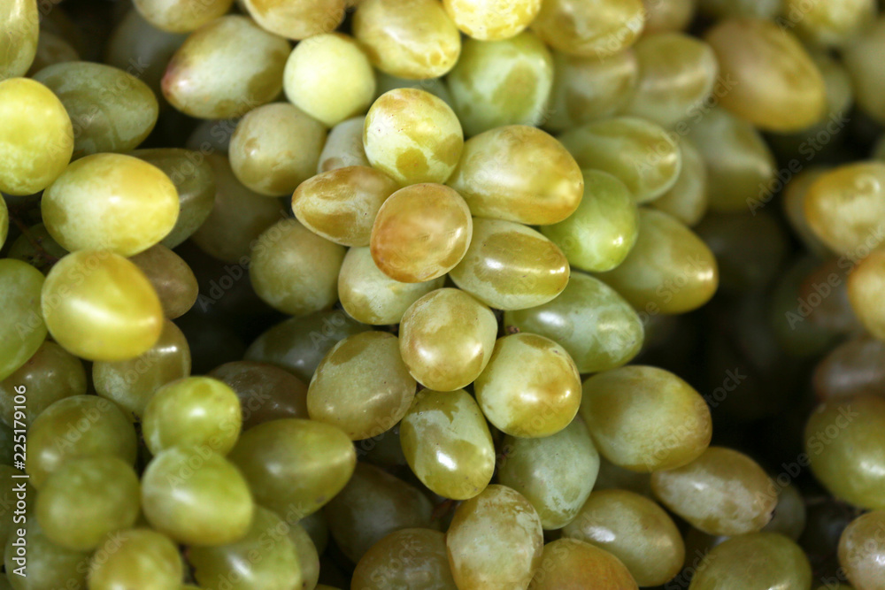 Fresh ripe juicy grapes as background, closeup Fresh ripe juicy grapes as background, closeup