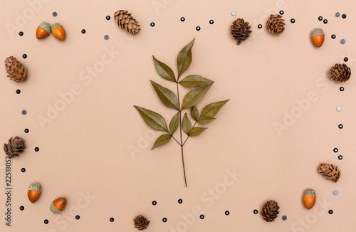 Autumn themed elements on a light brown paper background © Tierney