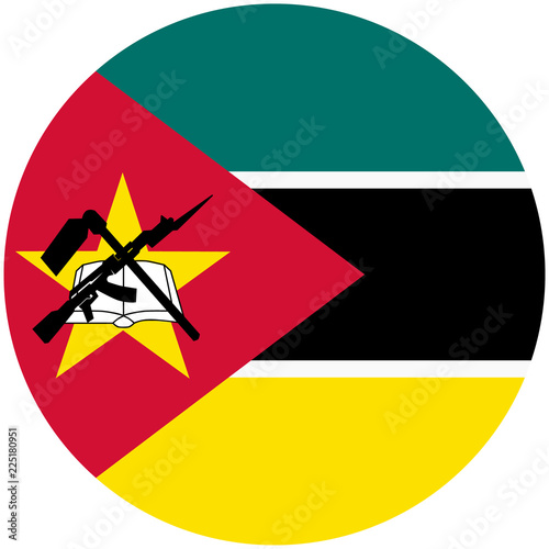 Mozambique flag vector