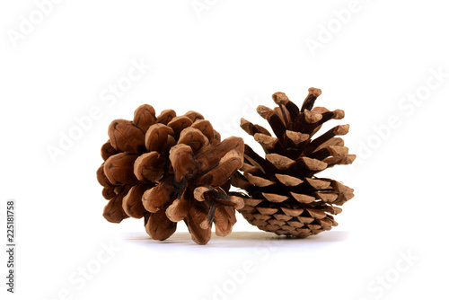 two pine cones on white