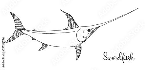 Hand drawn swordfish. Vector illustration in sketch style.