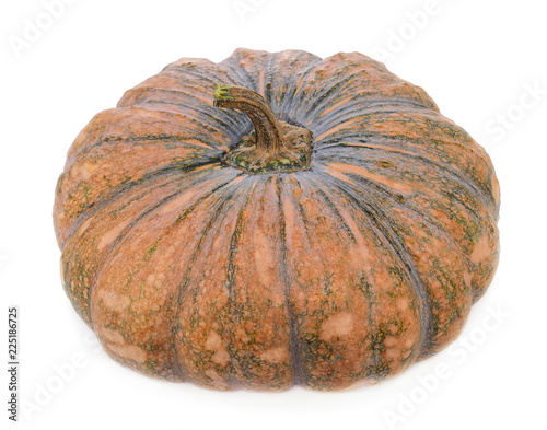 pumpkin isolated on white background.