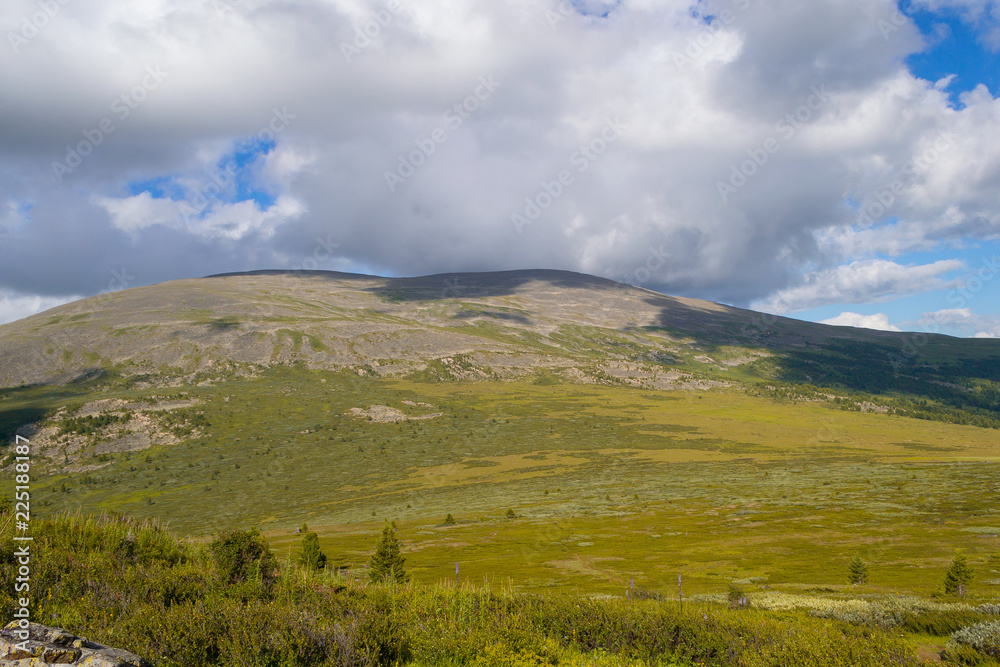 Landscape of green valley flooded with light and lush green grass and trees, mountains, covered with stone, a fresh summer day under a blue sky with white clouds and sun rays in Altai mountains