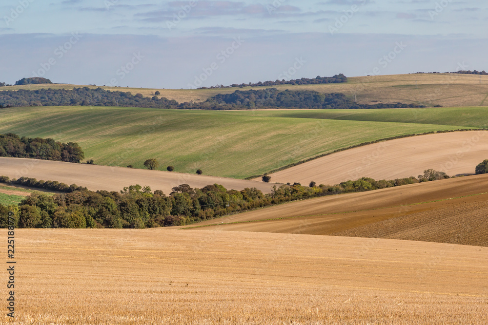 Rolling countryside in the South Downs, on a sunny autumn day