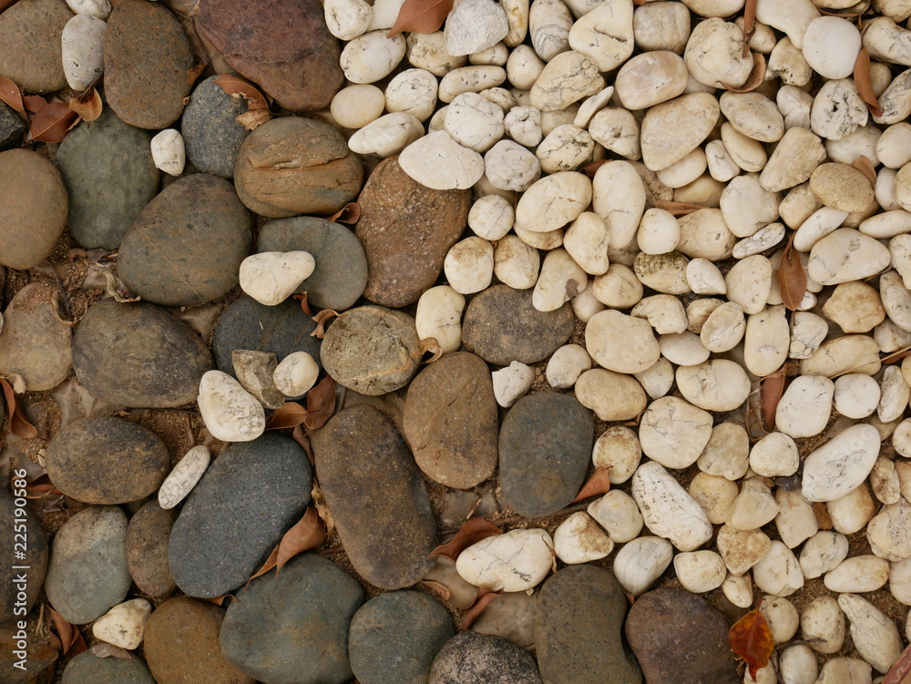 rock floor in garden,pebbles on the beach,stone background rock floor in garden,pebbles on the beach,stone background