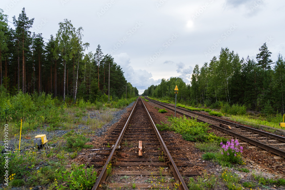 Fototapeta premium Empty railroad tracks running in the middle of a forest outside Hanko Finland