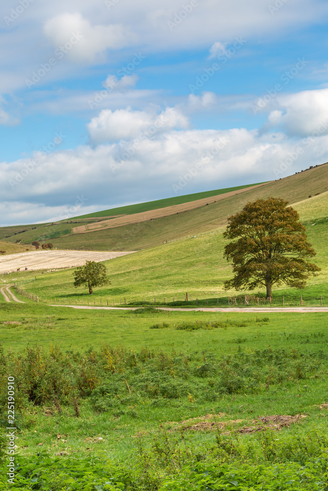 Fototapeta premium A view of a South Downs landscape in Sussex, during Autumn