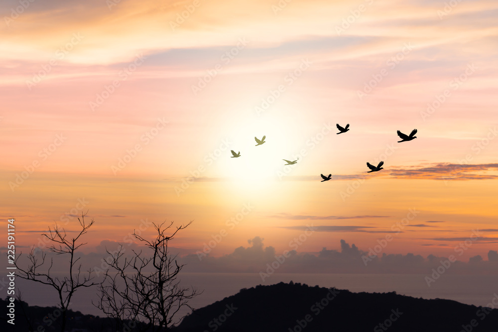 Birds flying..Silhouette flock of birds flying over mountain coastline with twilight horizon sea sky at sunset. Birds flying..Silhouette flock of birds flying over mountain coastline with twilight horizon sea sky at sunset.