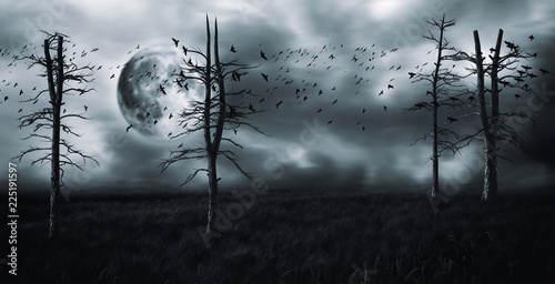 Creepy Dead Trees Night with moon background.