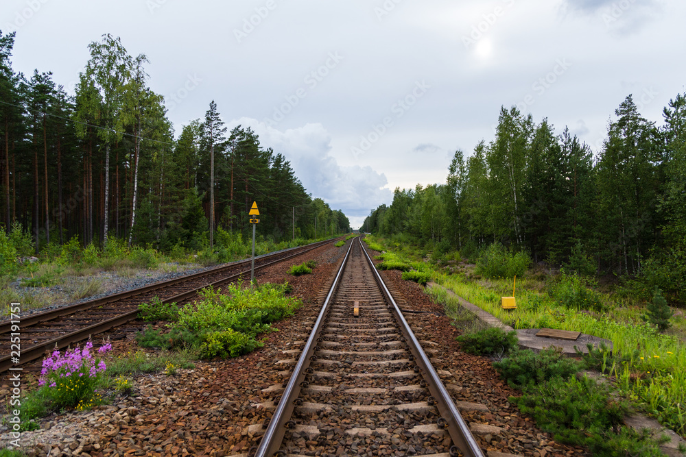 Empty railroad tracks running in the middle of a forest outside Hanko Finland Empty railroad tracks running in the middle of a forest outside Hanko Finland