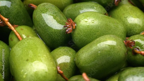 UHD closeup shot of the actinidia berries on a turntable