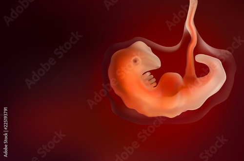 Baby in mother's womb As illustrated with red tones