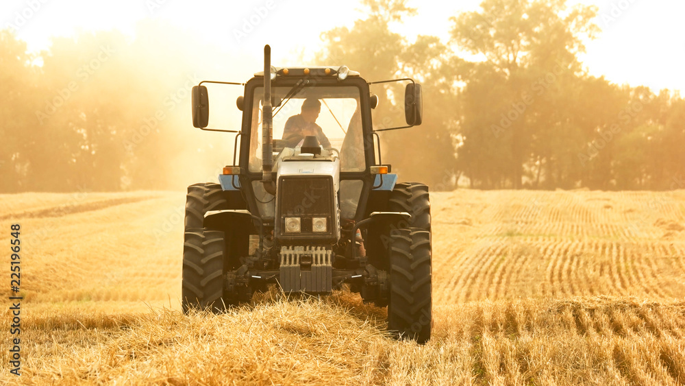 Obraz premium Agricultural work on the harvesting of hay by agricultural machinery. Tractor riding in a field in a yellow field.