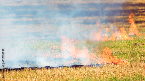 Burning meadow grass. Forest field wildfire and smoke, close up.