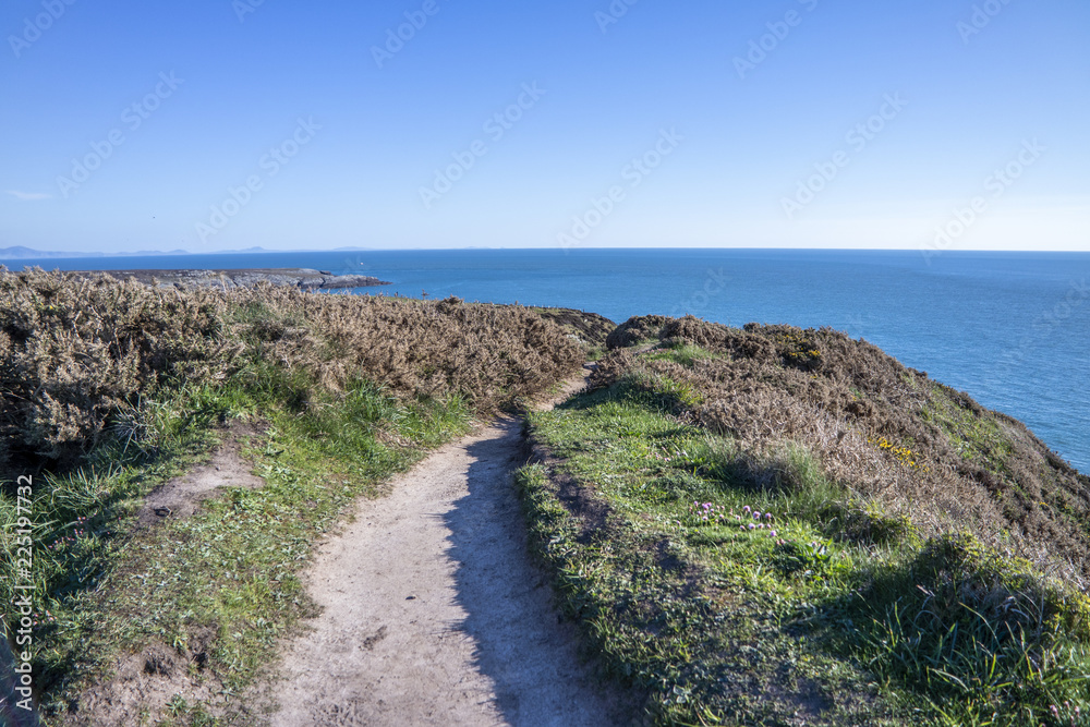 Lonely path close to the welsh cliffs Lonely path close to the welsh cliffs