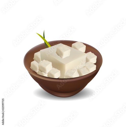 Tofu Isolated on White - Vector Realistic Illustration