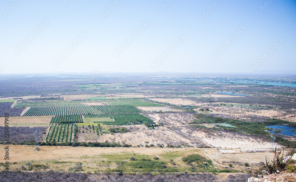 Landscape of crops in an overlook 
