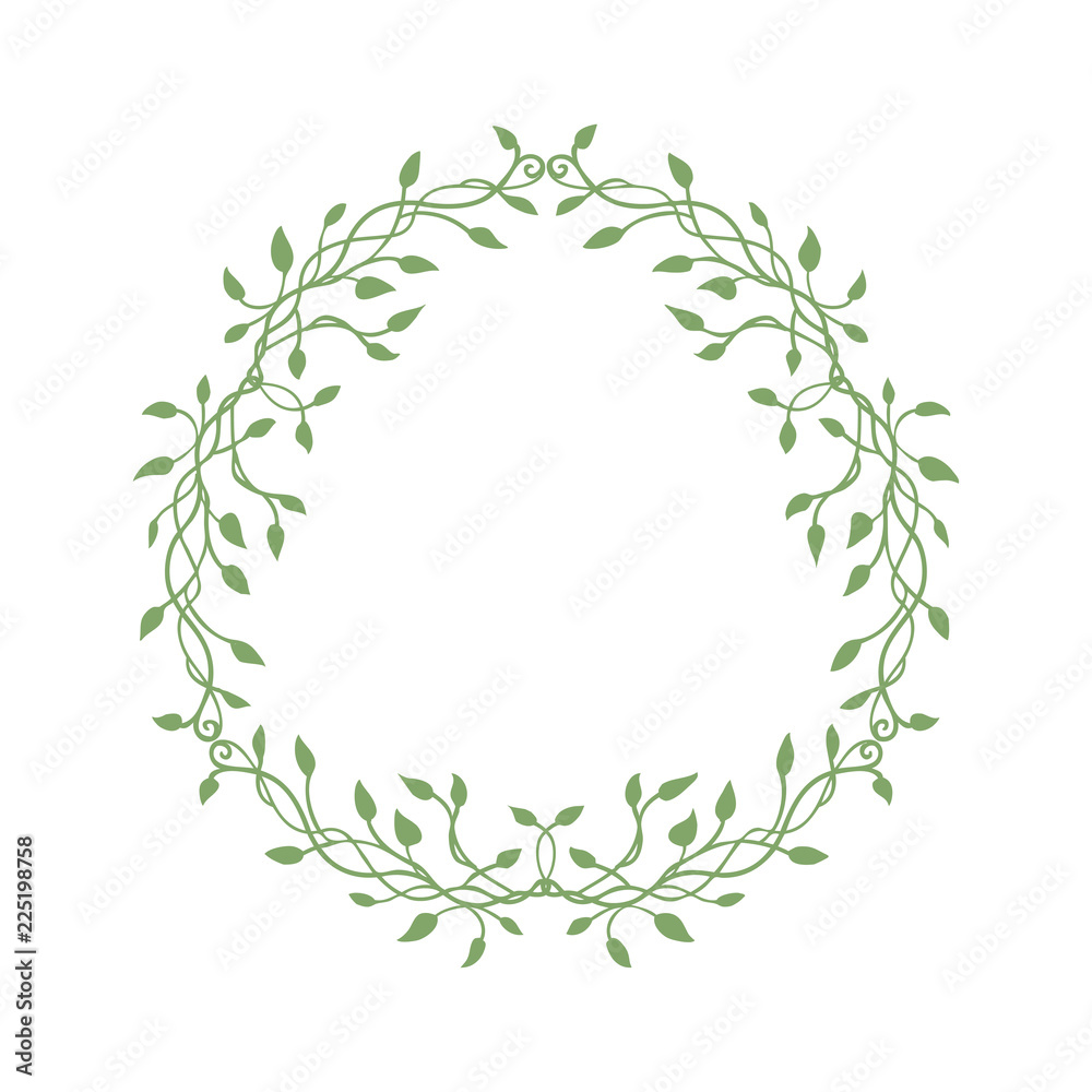 Ivy or vine Christmas wreath border design isolated on white background, green floral spring vector decoration Ivy or vine Christmas wreath border design isolated on white background, green floral spring vector decoration