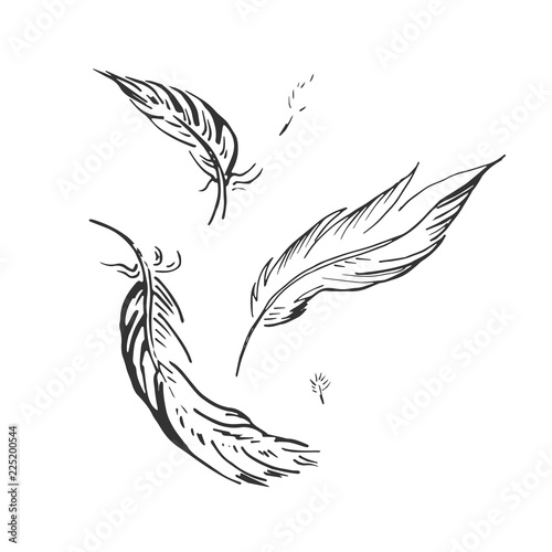 falling feather illustration