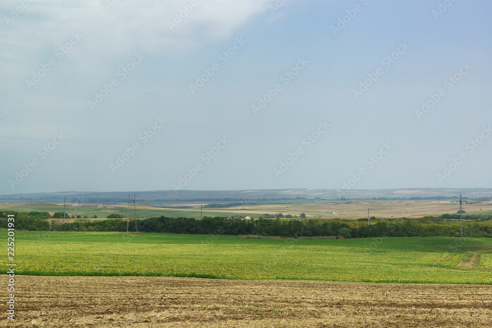 Agricultural fields in the Anapa region of the southern Krasnodar region