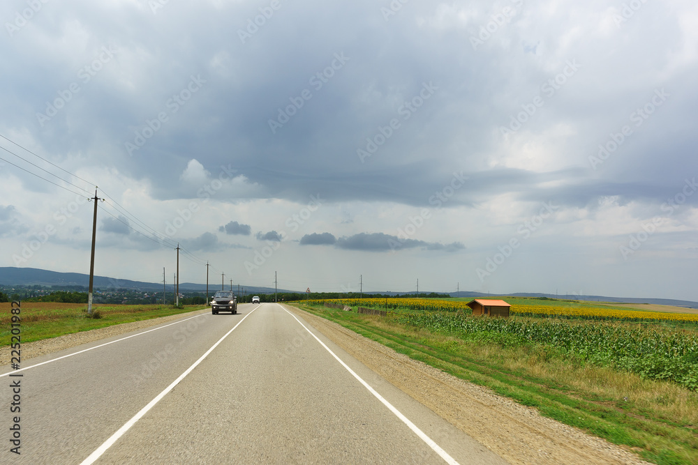 Fototapeta premium Road among agricultural fields with sunflowers in the Anapa district of the Krasnodar region