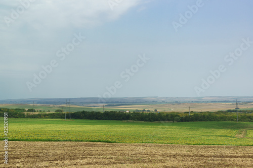 Agricultural fields in the Anapa region of the southern Krasnodar region