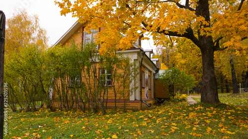 Autumn season in the city