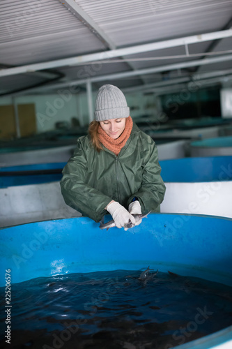 Woman examining young sturgeon on fish farm photo