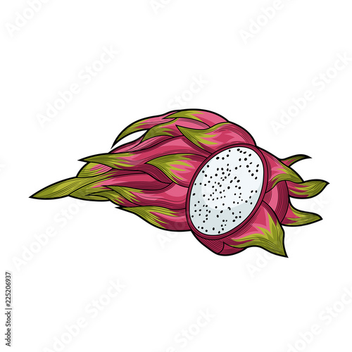 Dragon fruit. Half an dragon fruit. Fruit crop. Exotic fruit. Illustration. Isolated on white background.