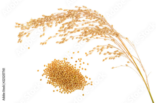 Spikes of millet and grain isolated on white background photo