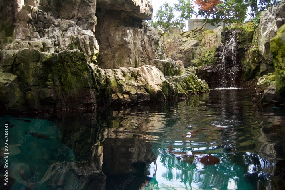 A small pond with plants, branches and rocky mountains and cliffs A small pond with plants, branches and rocky mountains and cliffs