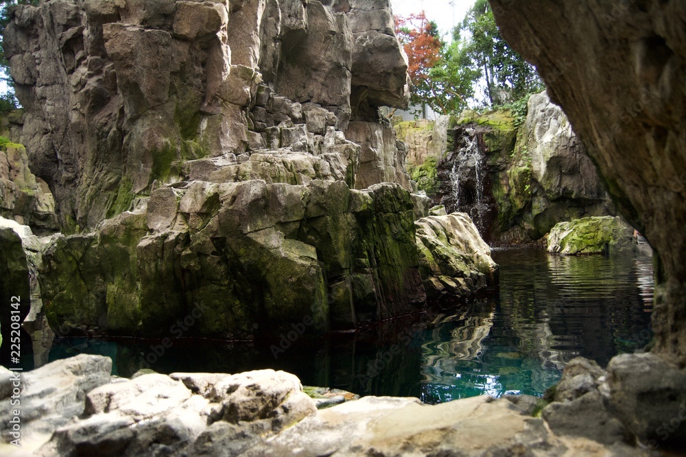 A small pond with plants, branches and rocky mountains and cliffs in the natural park in Portugal