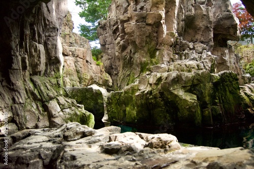 A small pond with plants, branches and rocky mountains and cliffs