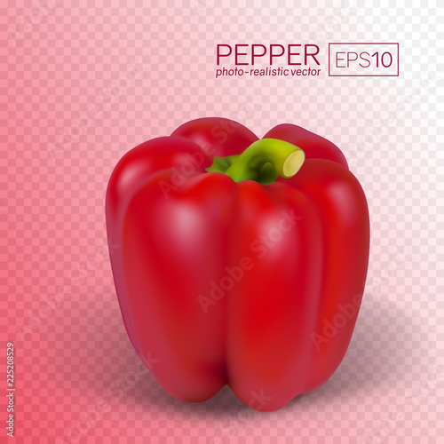 Red paprika isolated on transparent background. Sweet pepper in a realistic style. This pepper can be placed on any background. Vector illustration