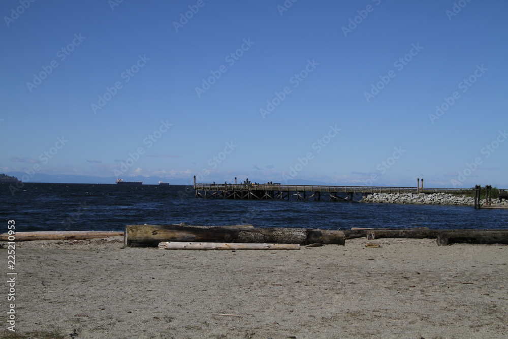 Looking from a beach with driftwood across the water to a pier Looking from a beach with driftwood across the water to a pier