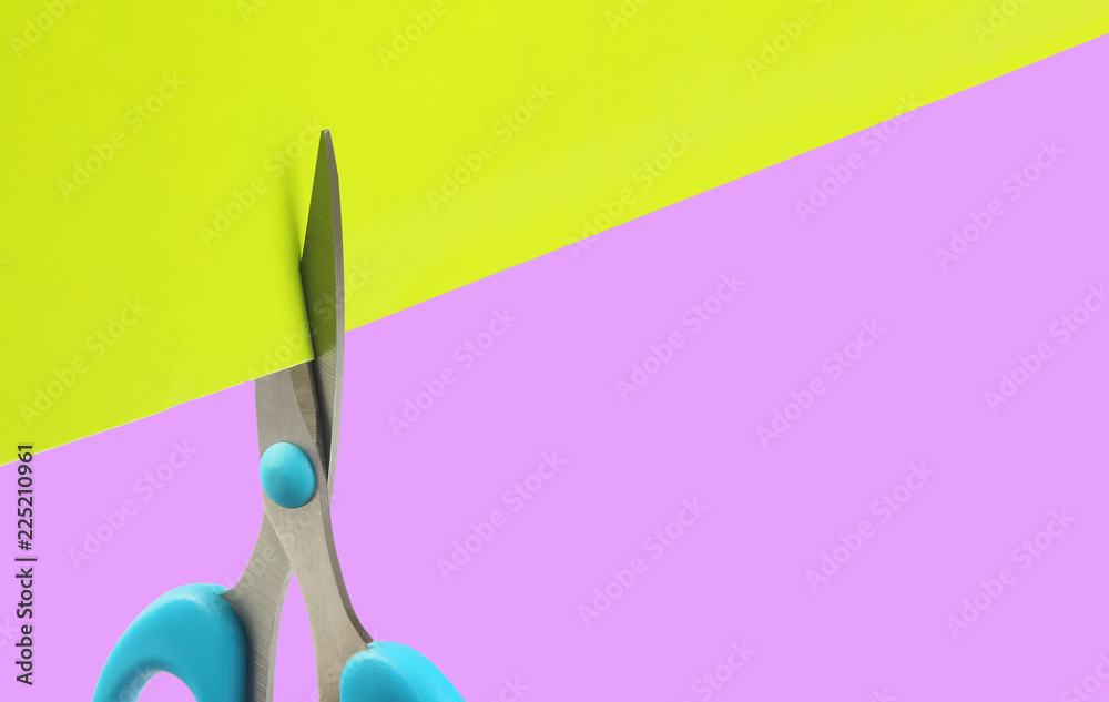 Indian Made stainless Steel Scissors
