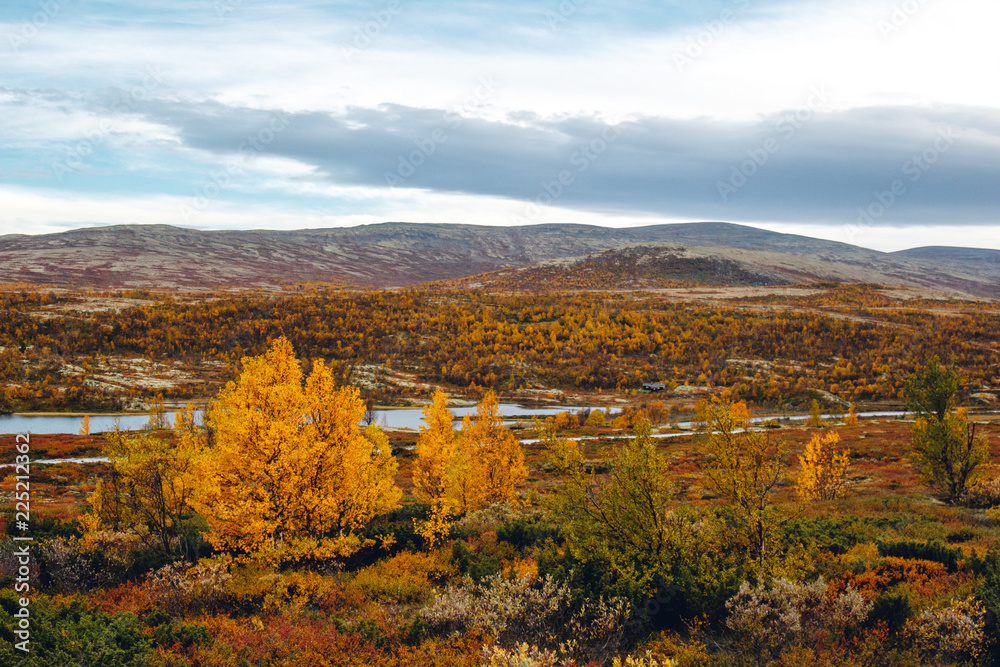 Fall Colors In Northern Scandinavia