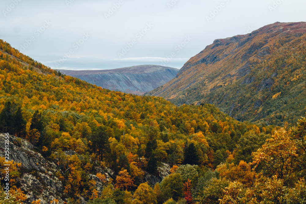 Fall Colors In Northern Scandinavia