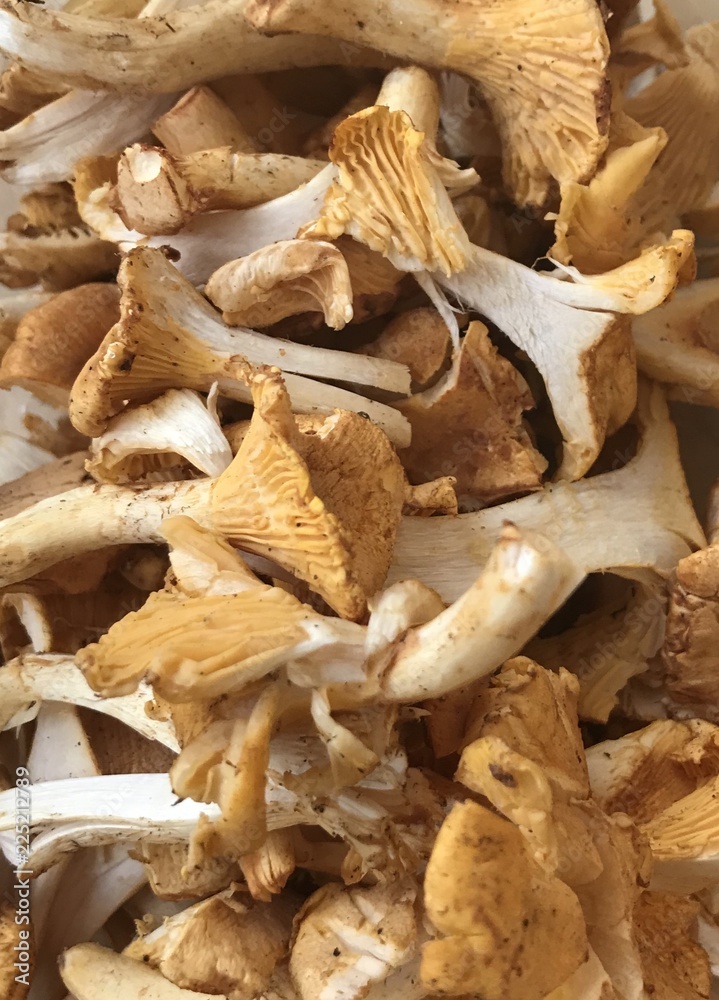 Chanterelle, mushrooms Chanterelle, mushrooms
